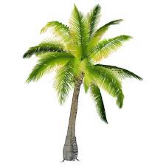 $5.95 or FREE shipping - Picture 2 of 3